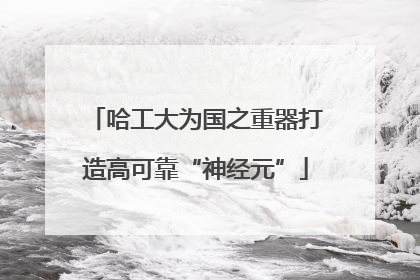 哈工大为国之重器打造高可靠“神经元”