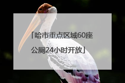 哈市重点区域60座公厕24小时开放