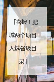 喜报！肥城两个项目入选省级目录