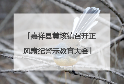 嘉祥县黄垓镇召开正风肃纪警示教育大会