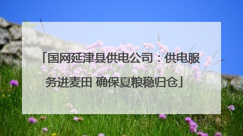国网延津县供电公司：供电服务进麦田 确保夏粮稳归仓
