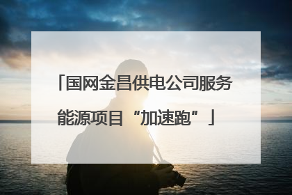 国网金昌供电公司服务能源项目“加速跑”