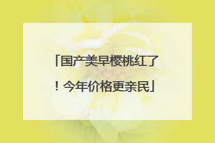 国产美早樱桃红了！今年价格更亲民