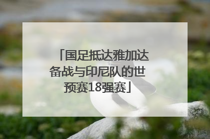 国足抵达雅加达备战与印尼队的世预赛18强赛