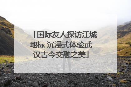 国际友人探访江城地标 沉浸式体验武汉古今交融之美