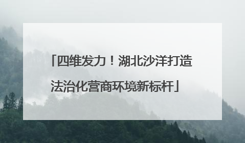 四维发力！湖北沙洋打造法治化营商环境新标杆