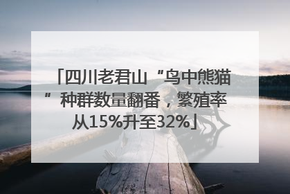 四川老君山“鸟中熊猫”种群数量翻番，繁殖率从15%升至32%