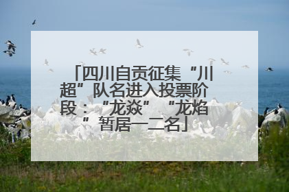 四川自贡征集“川超”队名进入投票阶段：“龙焱”“龙焰”暂居一二名