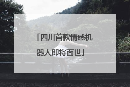 四川首款情感机器人即将面世