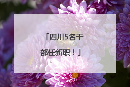 四川5名干部任新职！