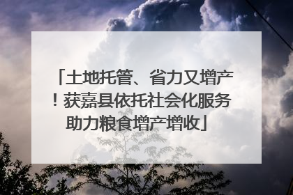 土地托管、省力又增产！获嘉县依托社会化服务助力粮食增产增收