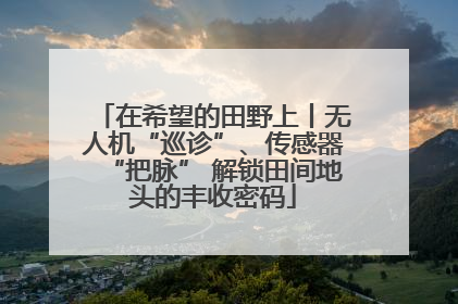 在希望的田野上丨无人机“巡诊”、传感器“把脉” 解锁田间地头的丰收密码