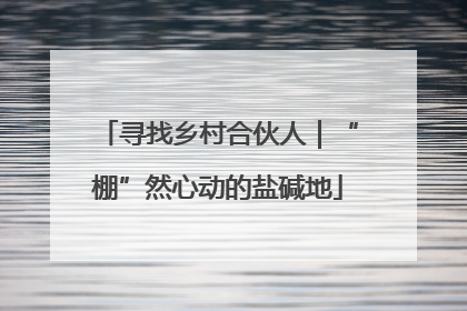寻找乡村合伙人｜“棚”然心动的盐碱地