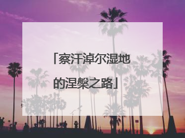 察汗淖尔湿地的涅槃之路