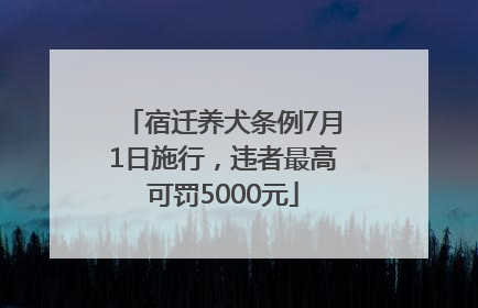 宿迁养犬条例7月1日施行，违者最高可罚5000元