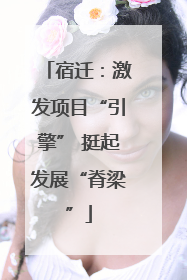 宿迁：激发项目“引擎” 挺起发展“脊梁”