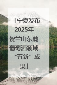 宁夏发布2025年贺兰山东麓葡萄酒领域“五新”成果