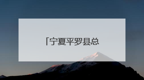 宁夏平罗县总工会举办插秧“大比武”