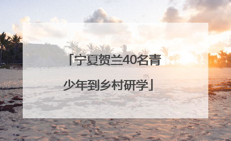宁夏贺兰40名青少年到乡村研学