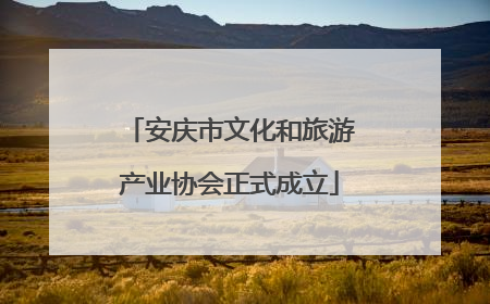 安庆市文化和旅游产业协会正式成立