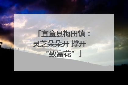 宜章县梅田镇：灵芝朵朵开 撑开“致富花”