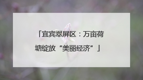 宜宾翠屏区：万亩荷塘绽放“美丽经济”