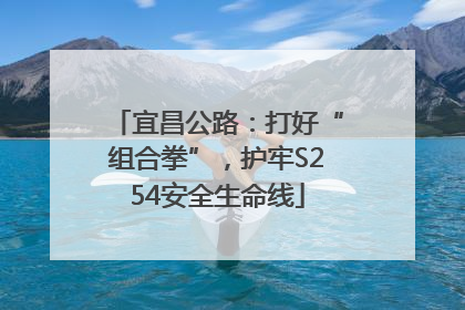 宜昌公路：打好“组合拳”，护牢S254安全生命线