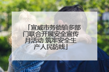 宣威市务德镇多部门联合开展安全宣传月活动 筑牢安全生产人民防线