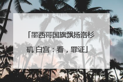 墨西哥国旗飘扬洛杉矶 白宫：看，罪证