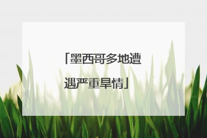 墨西哥多地遭遇严重旱情