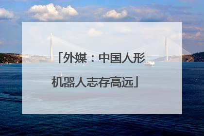 外媒：中国人形机器人志存高远