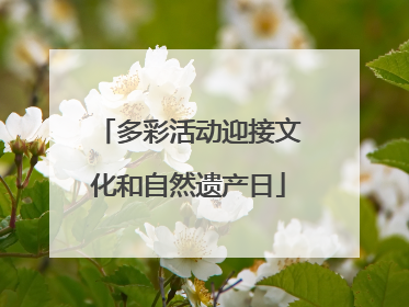 多彩活动迎接文化和自然遗产日