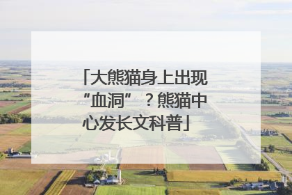 大熊猫身上出现“血洞”？熊猫中心发长文科普