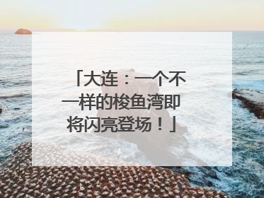 大连：一个不一样的梭鱼湾即将闪亮登场！