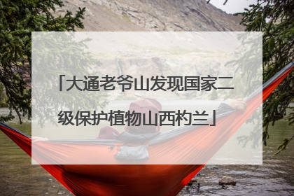 大通老爷山发现国家二级保护植物山西杓兰