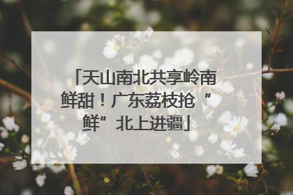 天山南北共享岭南鲜甜！广东荔枝抢“鲜”北上进疆
