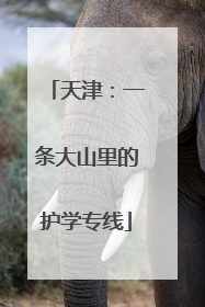 天津：一条大山里的护学专线