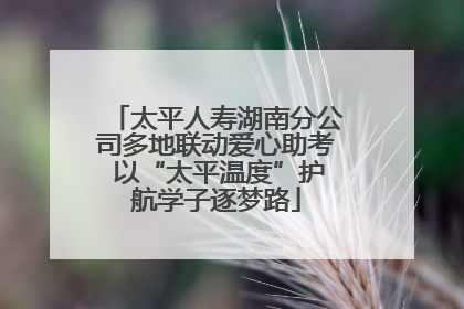 太平人寿湖南分公司多地联动爱心助考 以“太平温度”护航学子逐梦路