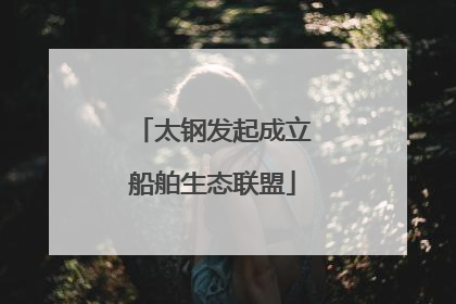 太钢发起成立船舶生态联盟