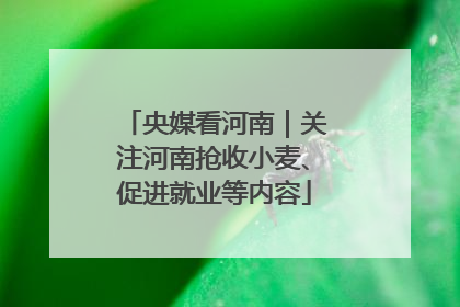 央媒看河南｜关注河南抢收小麦、促进就业等内容