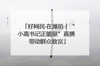 好网民·在潍坊｜“小高书记正能量”直播 带动群众致富