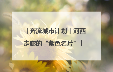 奔流城市计划丨河西走廊的“紫色名片”