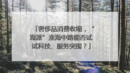 奢侈品消费收缩，“海派”淮海中路能否试试科技、服务突围？