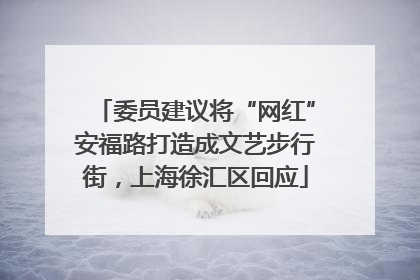 委员建议将“网红”安福路打造成文艺步行街，上海徐汇区回应