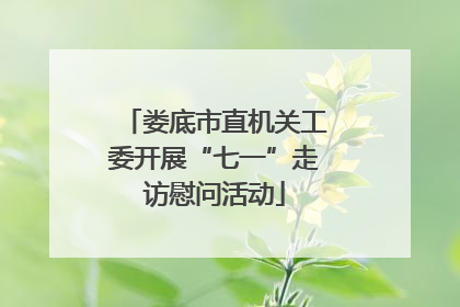 娄底市直机关工委开展“七一”走访慰问活动