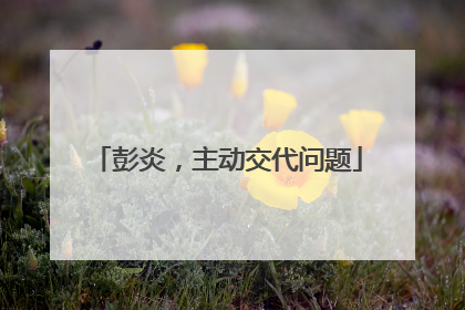 彭炎，主动交代问题