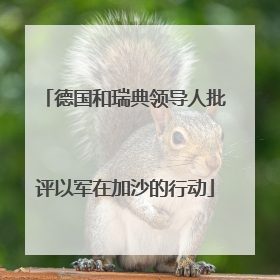 德国和瑞典领导人批评以军在加沙的行动