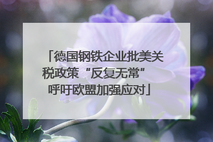 德国钢铁企业批美关税政策“反复无常” 呼吁欧盟加强应对