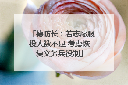 德防长：若志愿服役人数不足 考虑恢复义务兵役制