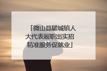 微山县驩城镇人大代表履职出实招精准服务促就业